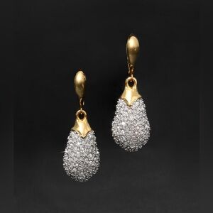Alexis Bittar Solanales Crystal Teardrop Leverback Earrings